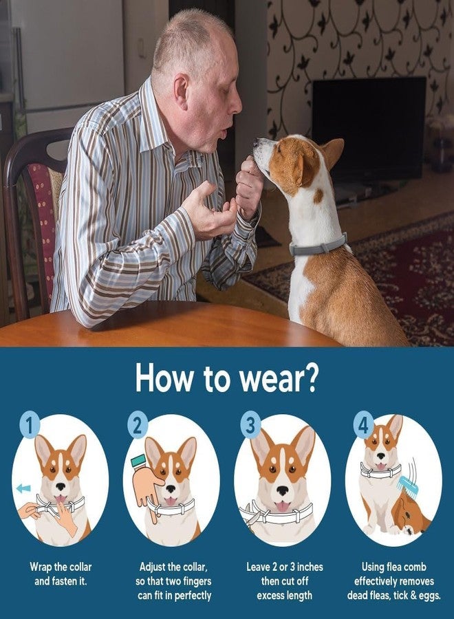 Elvana Dog Flea & Tick Collar for Dogs - Pack of 2 | Adjustable, Water-Resistant, Natural Ingredients | Rapid & Safe Protection for All Breeds - Image 4
